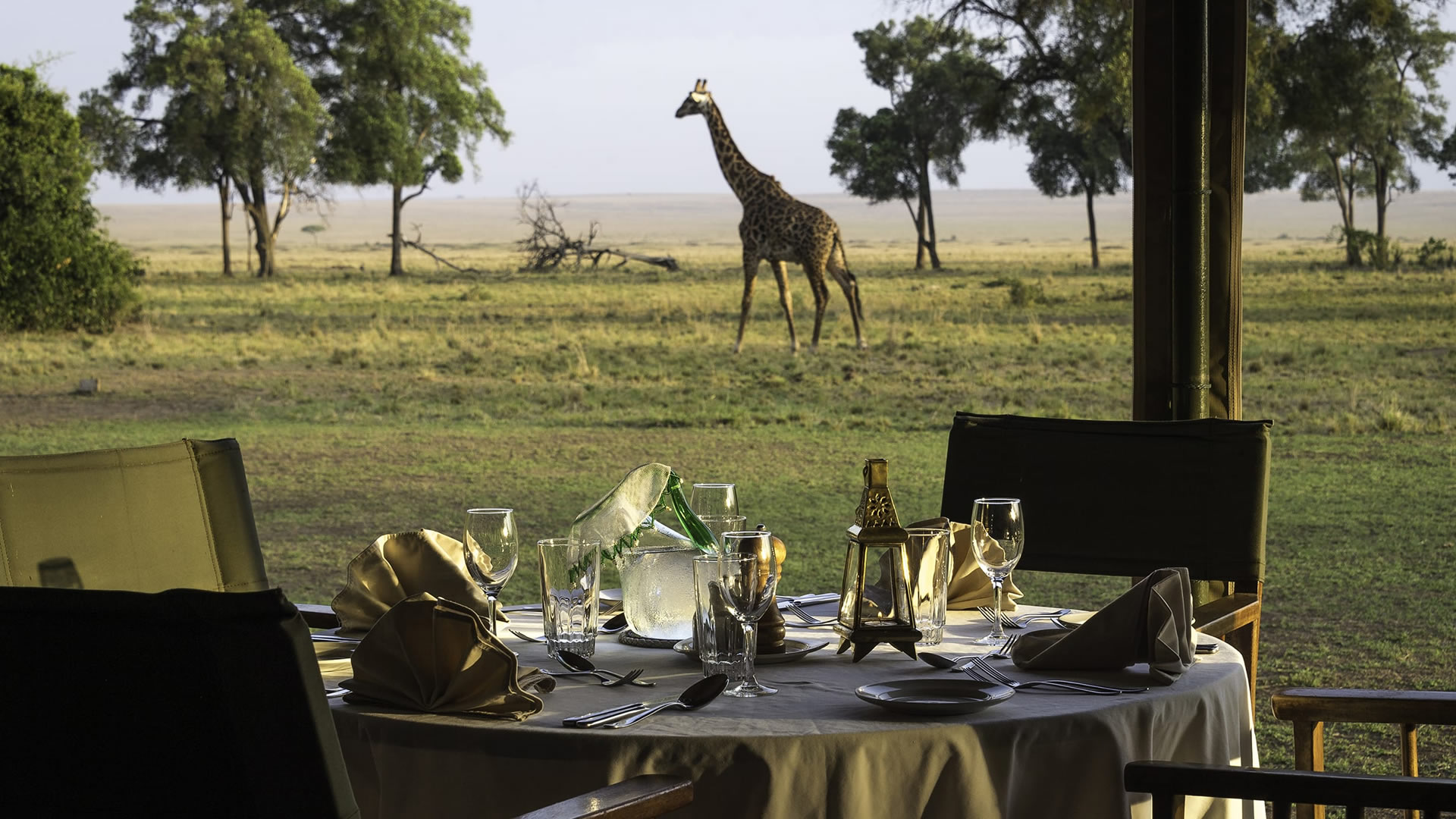Breakfast with savannah views, Governors Camp