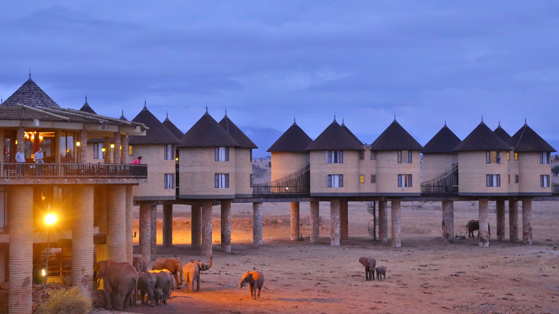 Salt Lick Safari Lodge on stilts