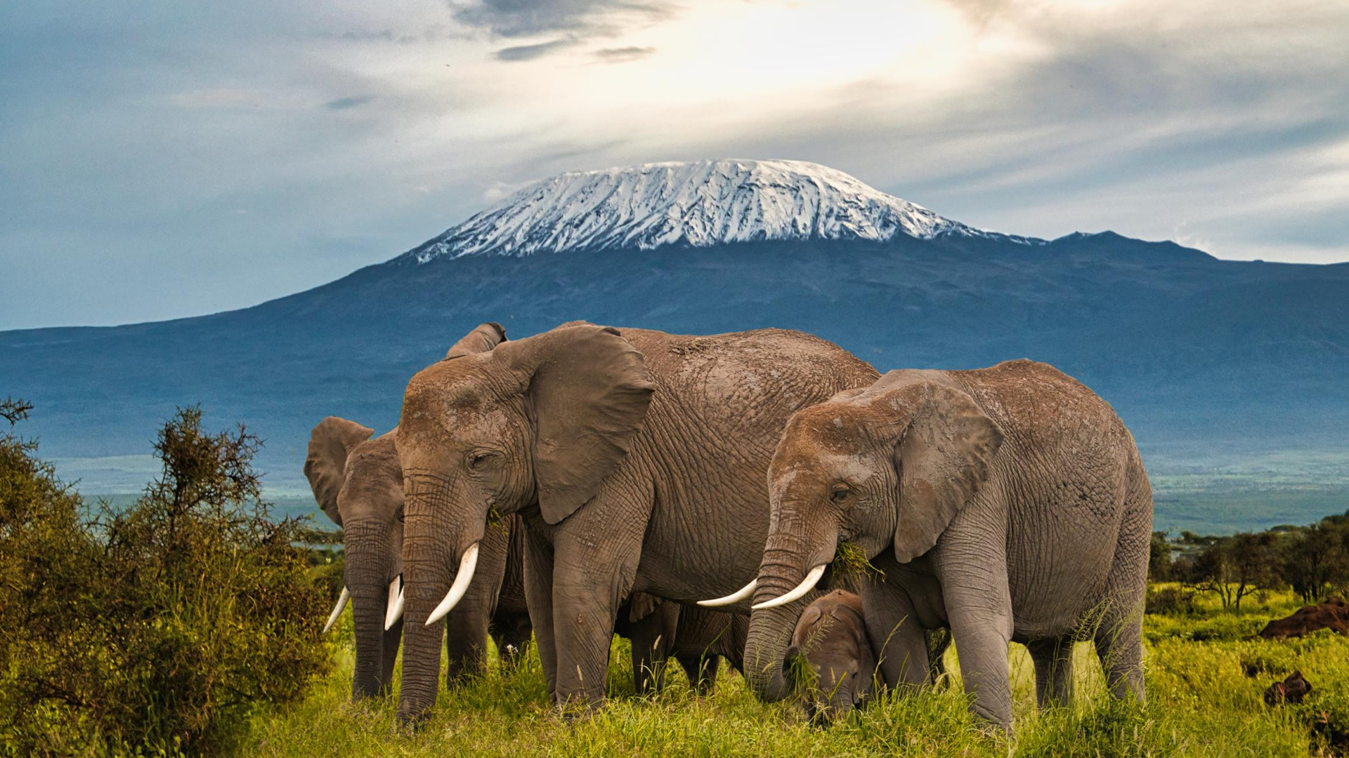 Amboseli National Park