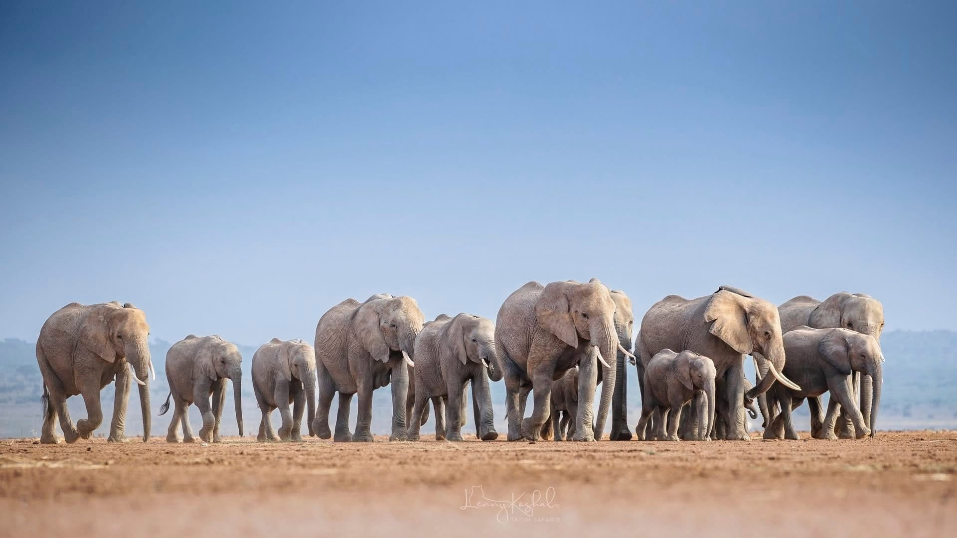 Amboseli National Park