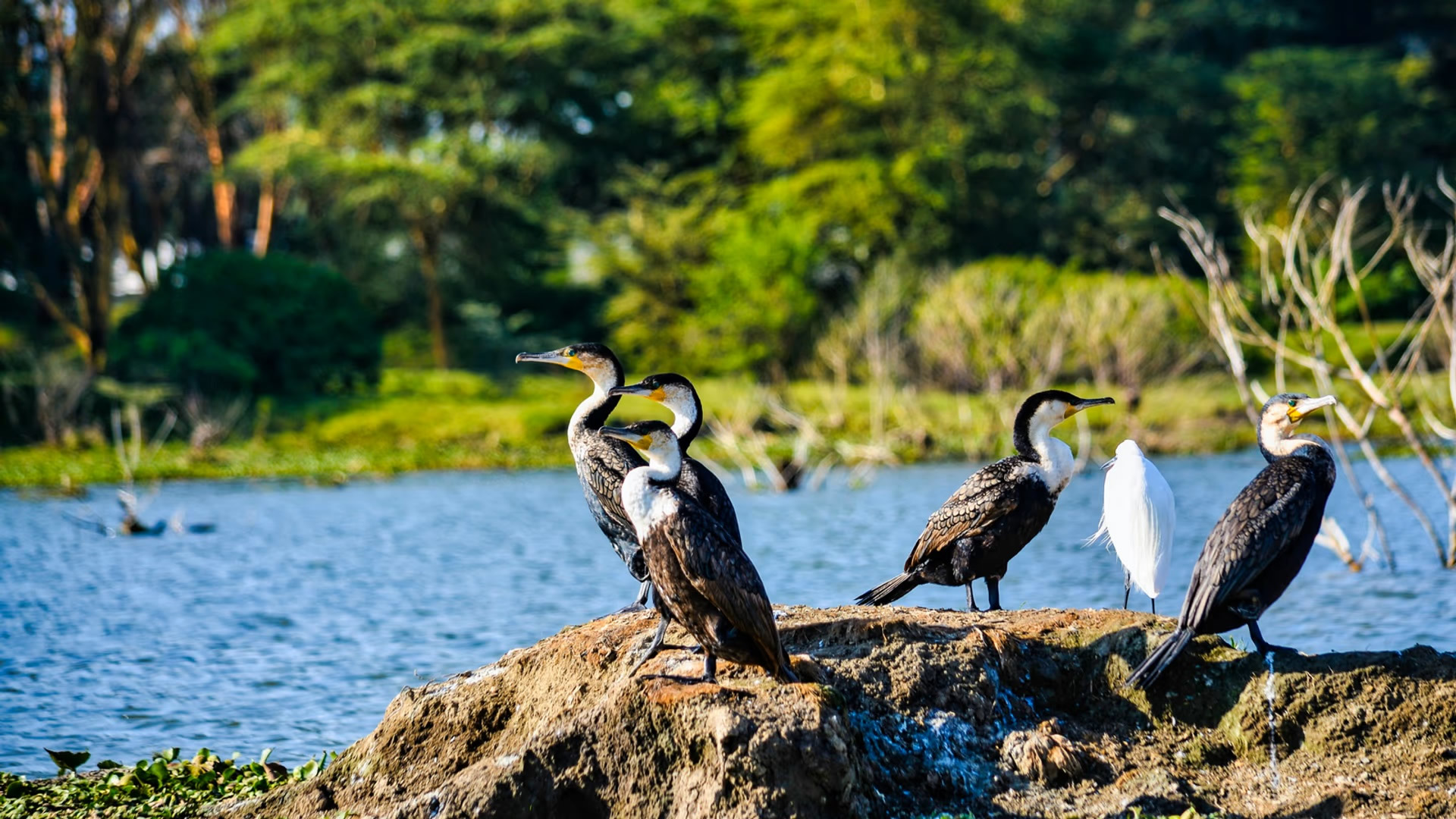 Lake Nakuru National Park