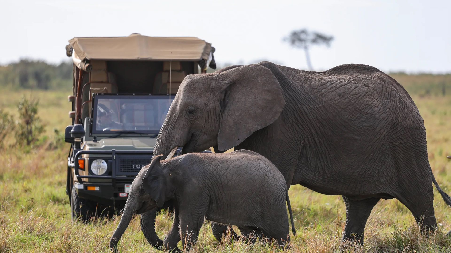Maasai Mara Game Reserve