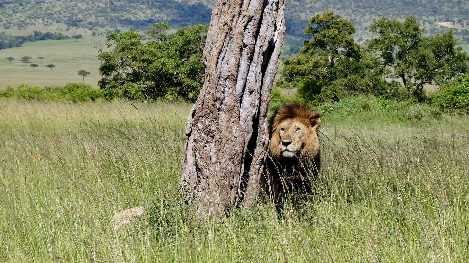 Maasai Mara Game Reserve