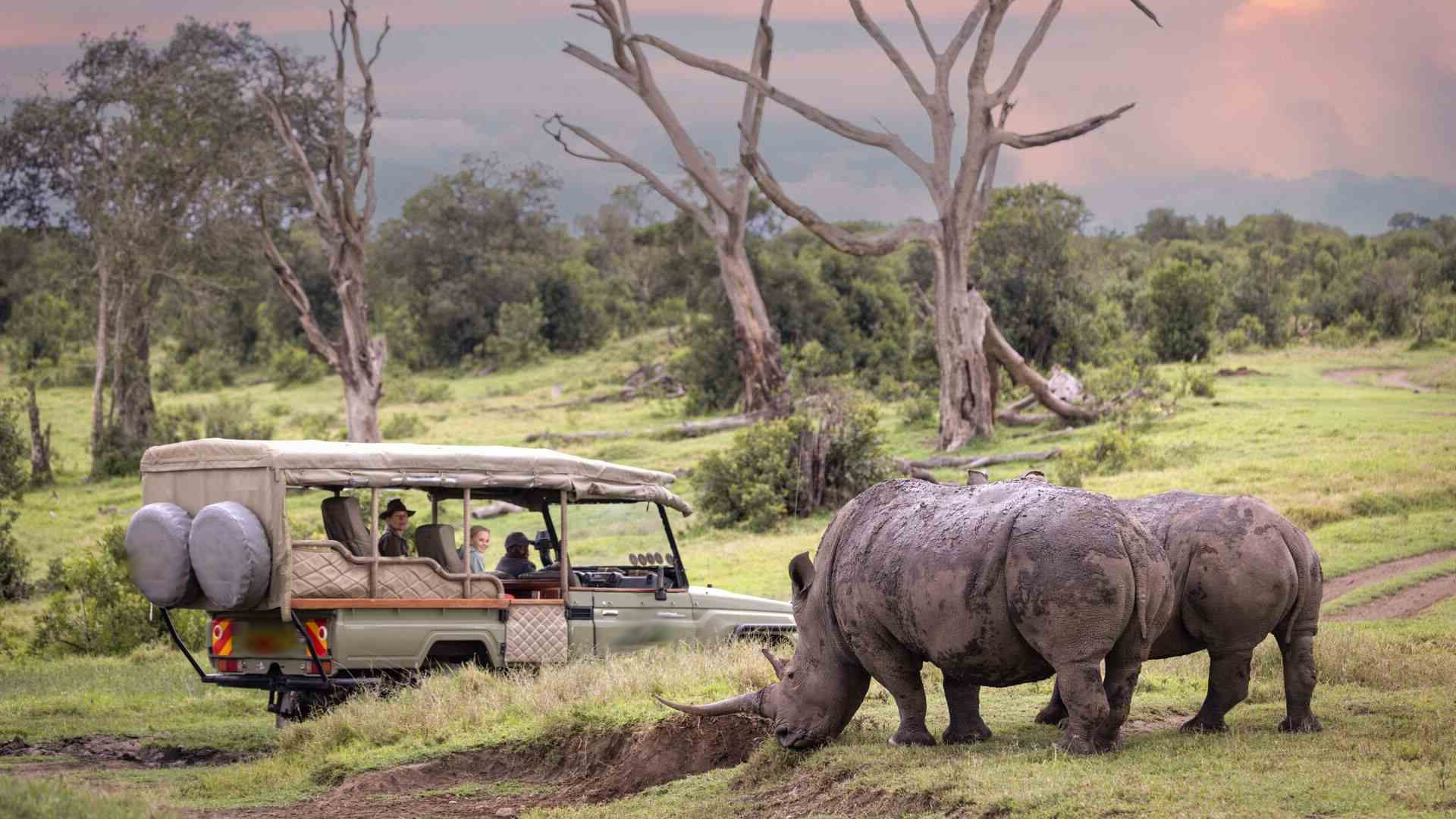 Ol Pejeta Conservancy