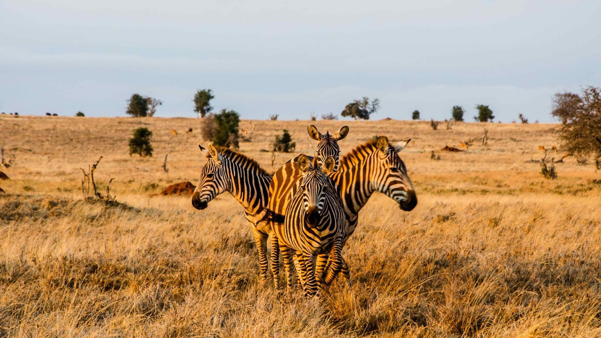Tsavo East National Park
