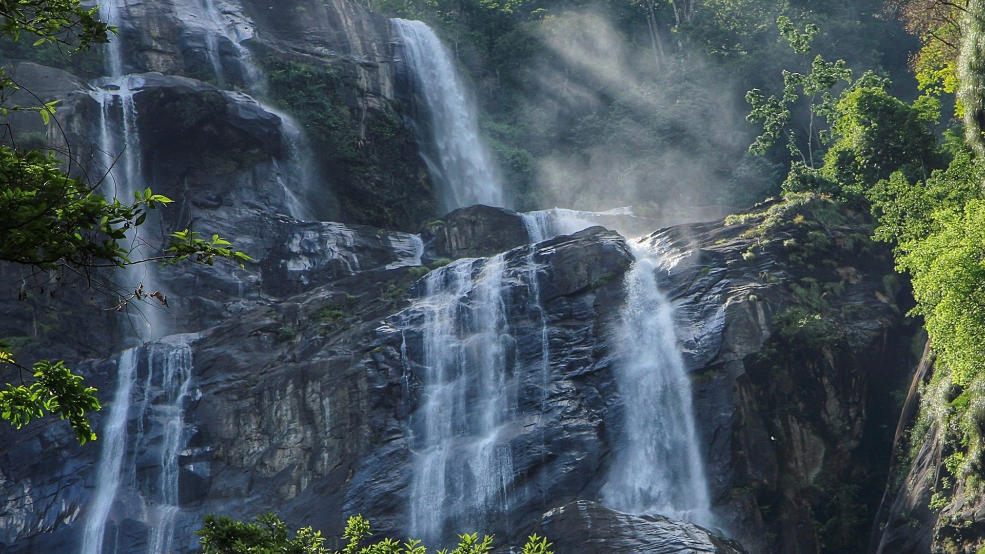 Gombe National Park