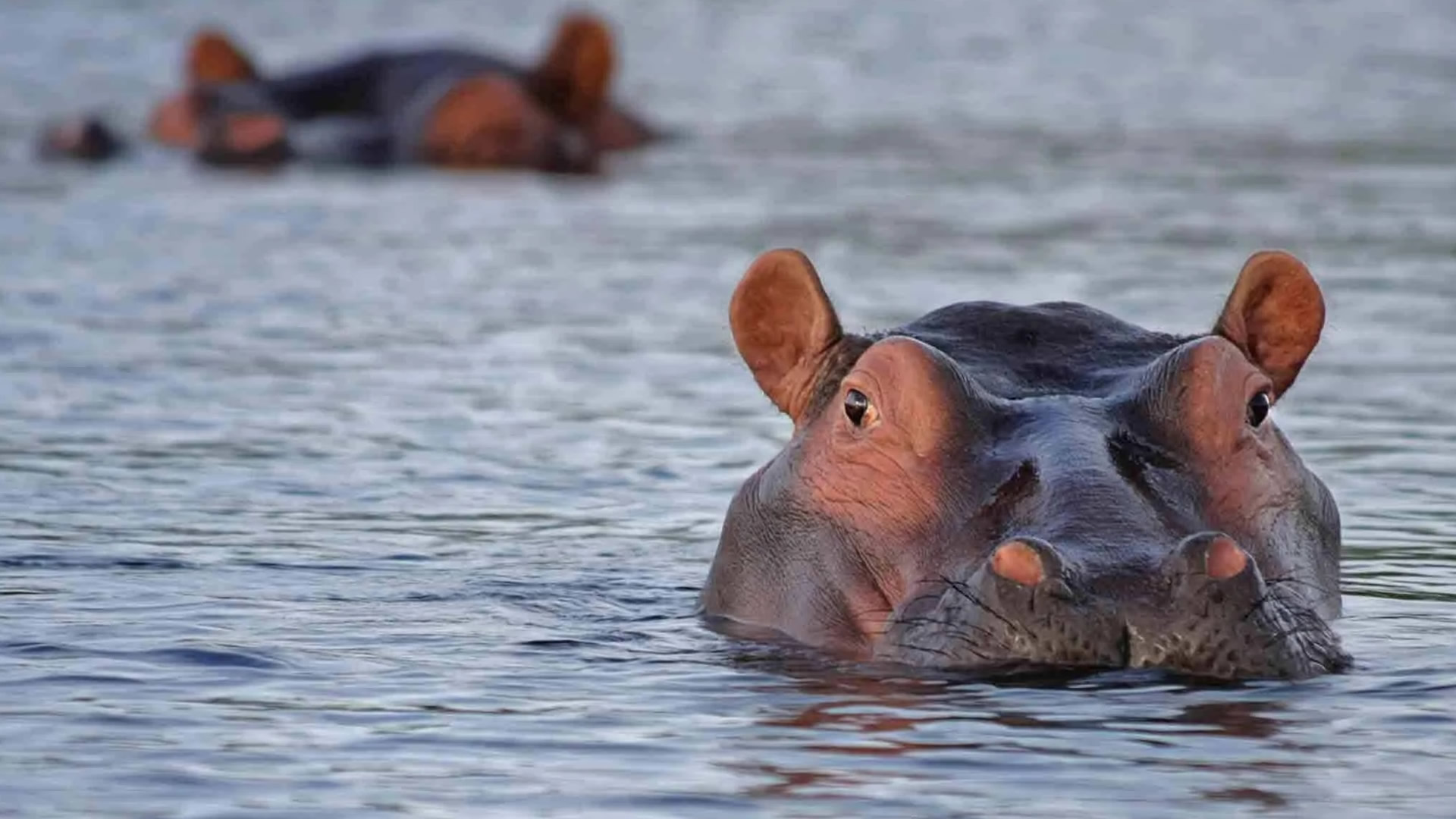 Lake Manyara National Park