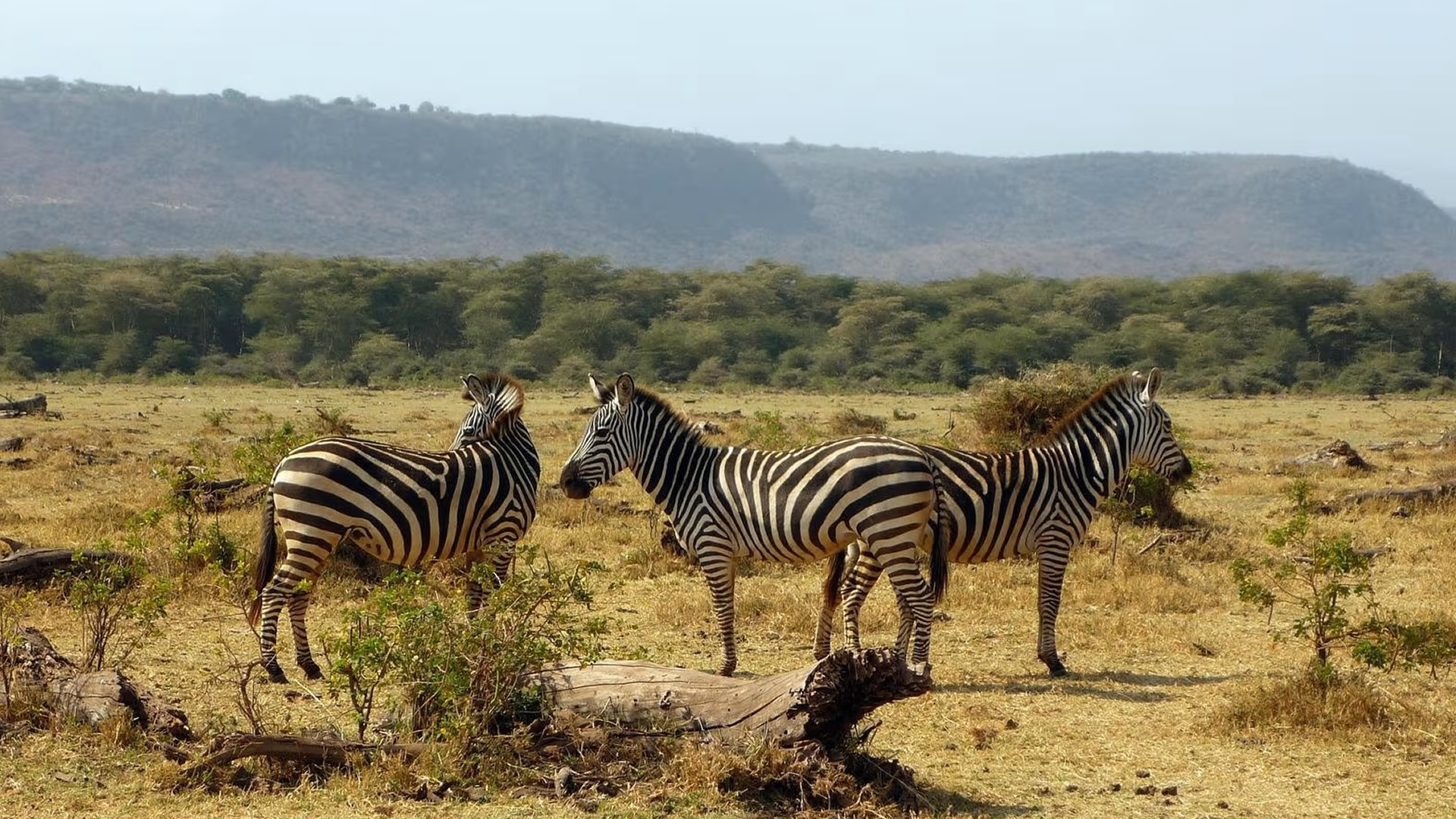 Lake Manyara National Park