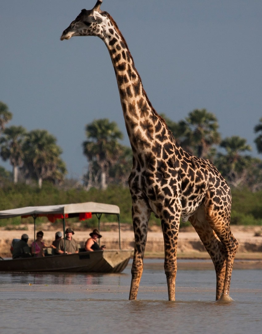 Nyerere National Park