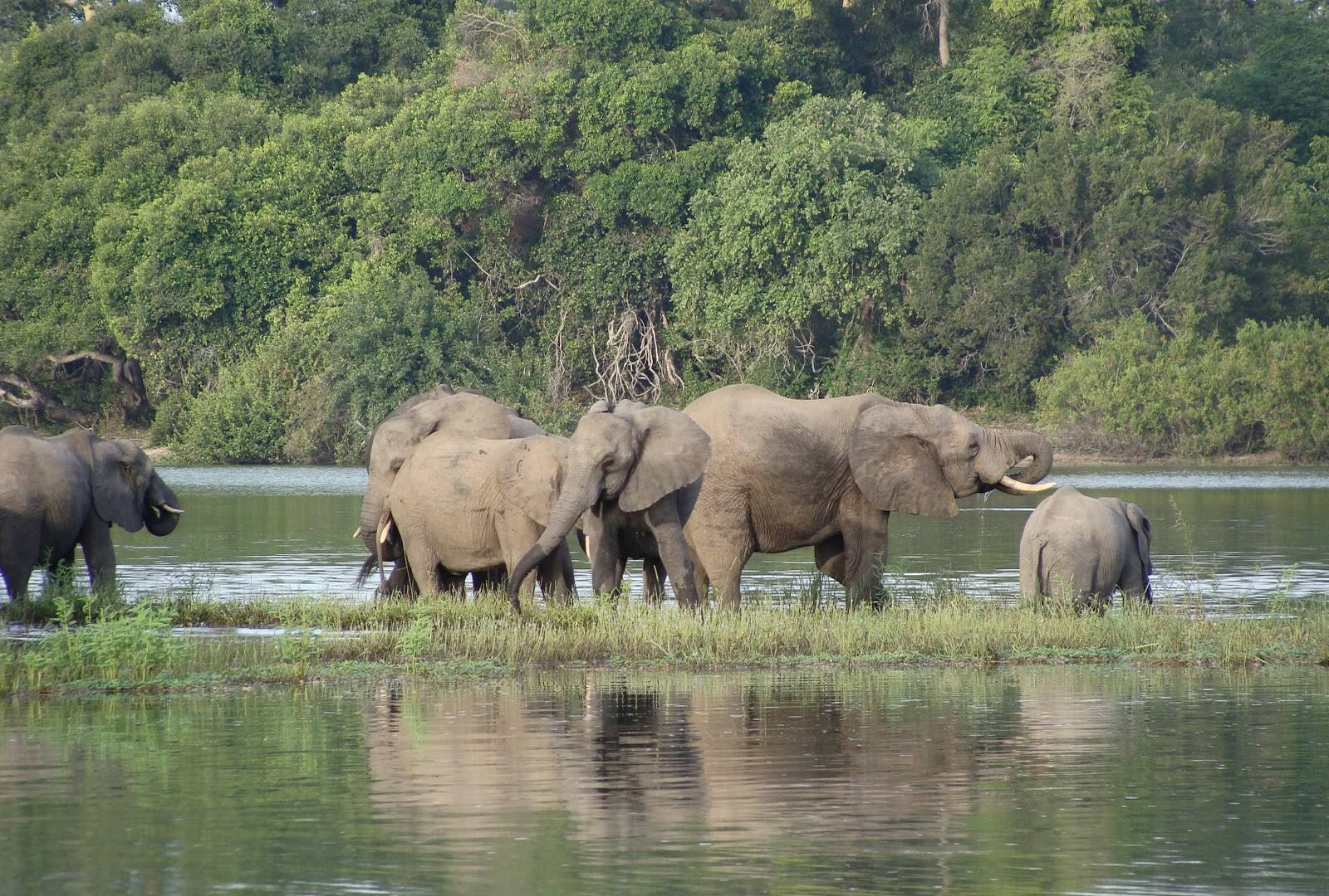 Nyerere National Park (Selous) Nyerere National Park (Selous)