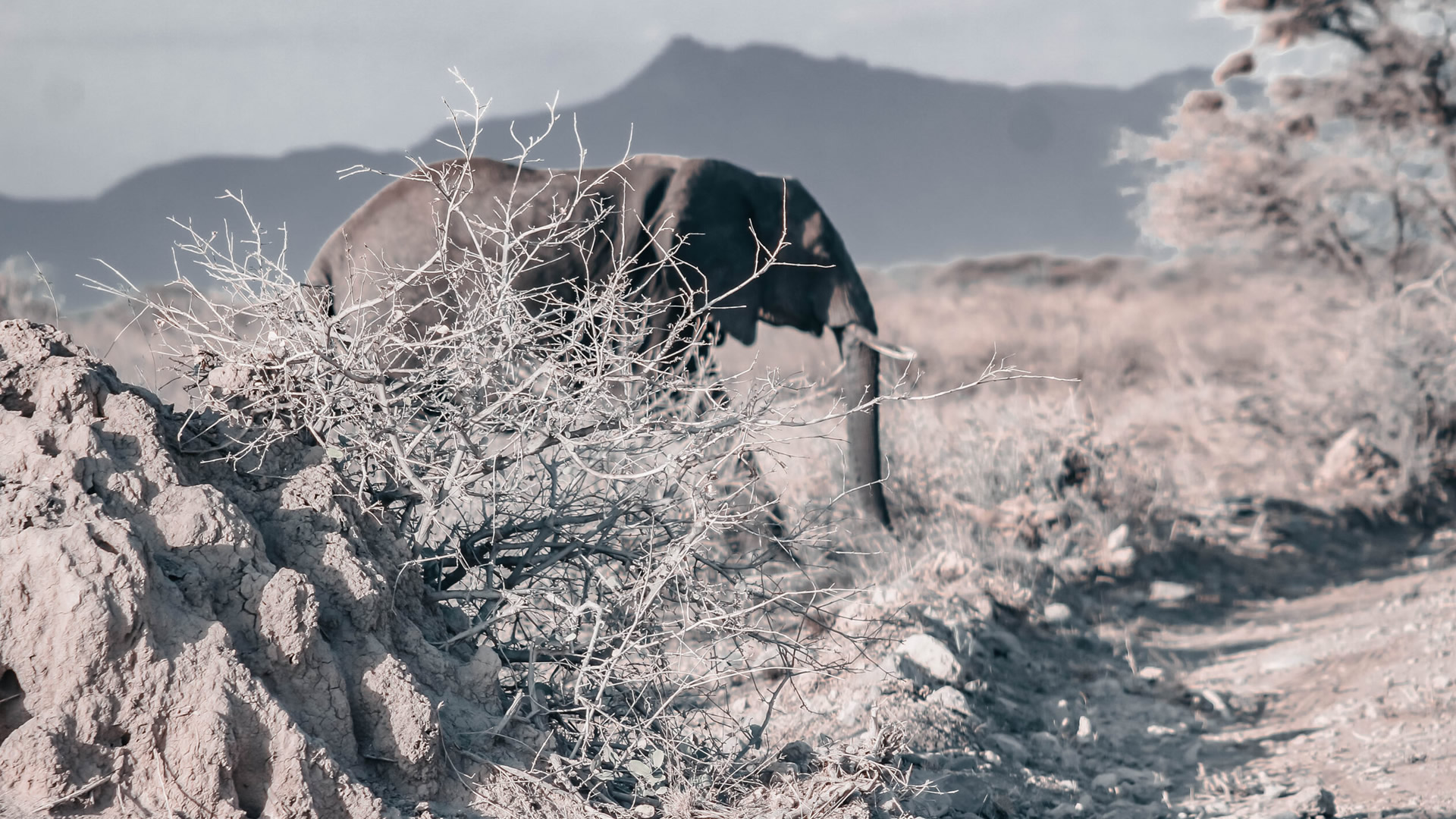 Serengeti National Park