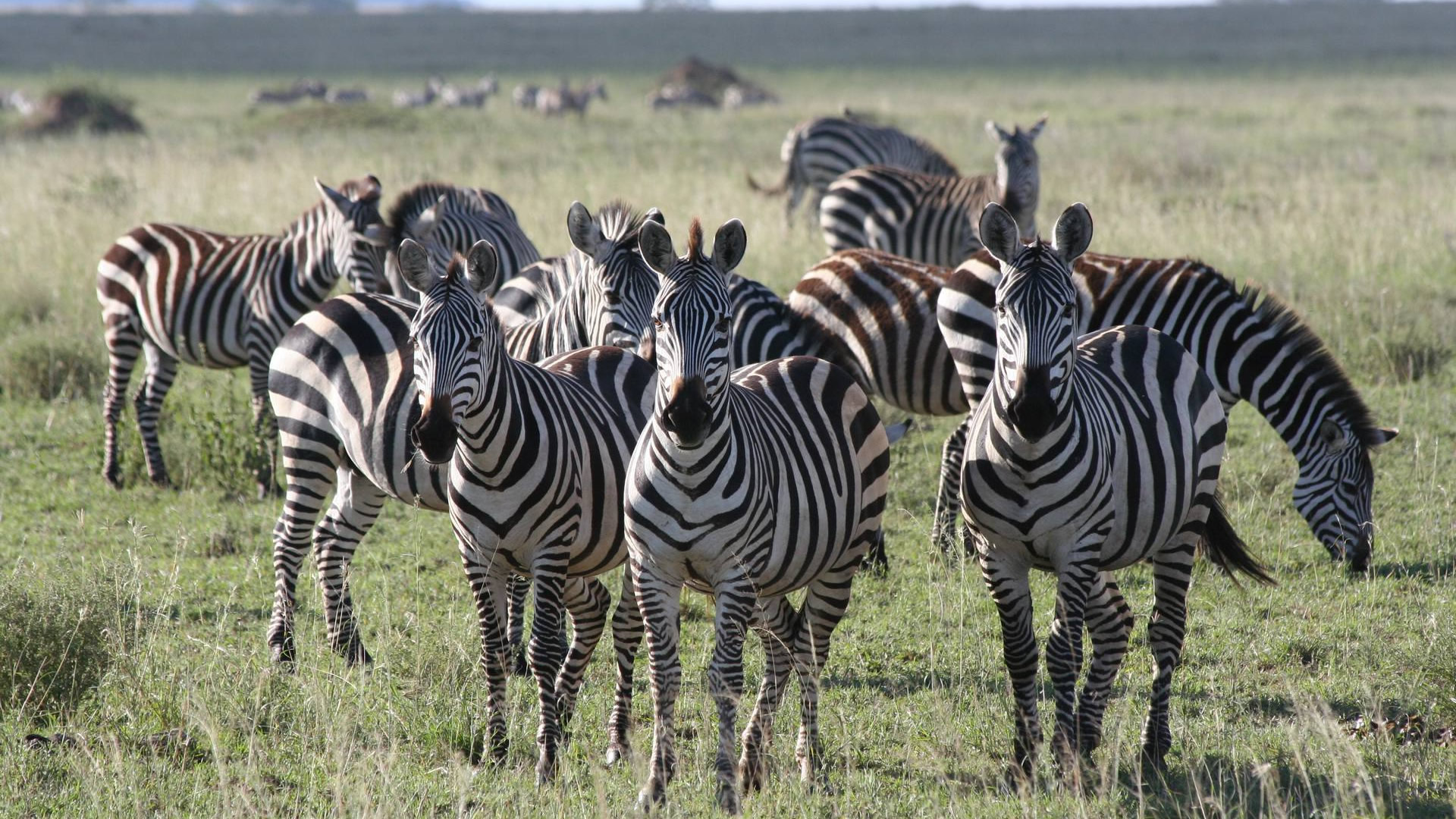 Serengeti National Park