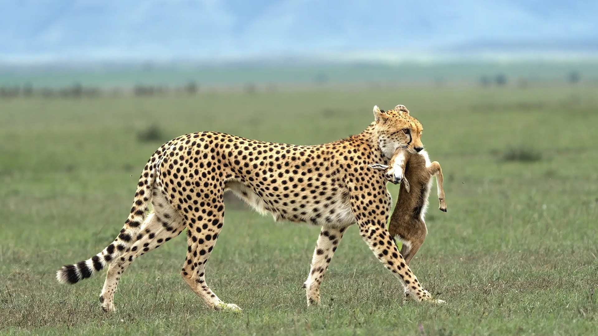 Serengeti National Park