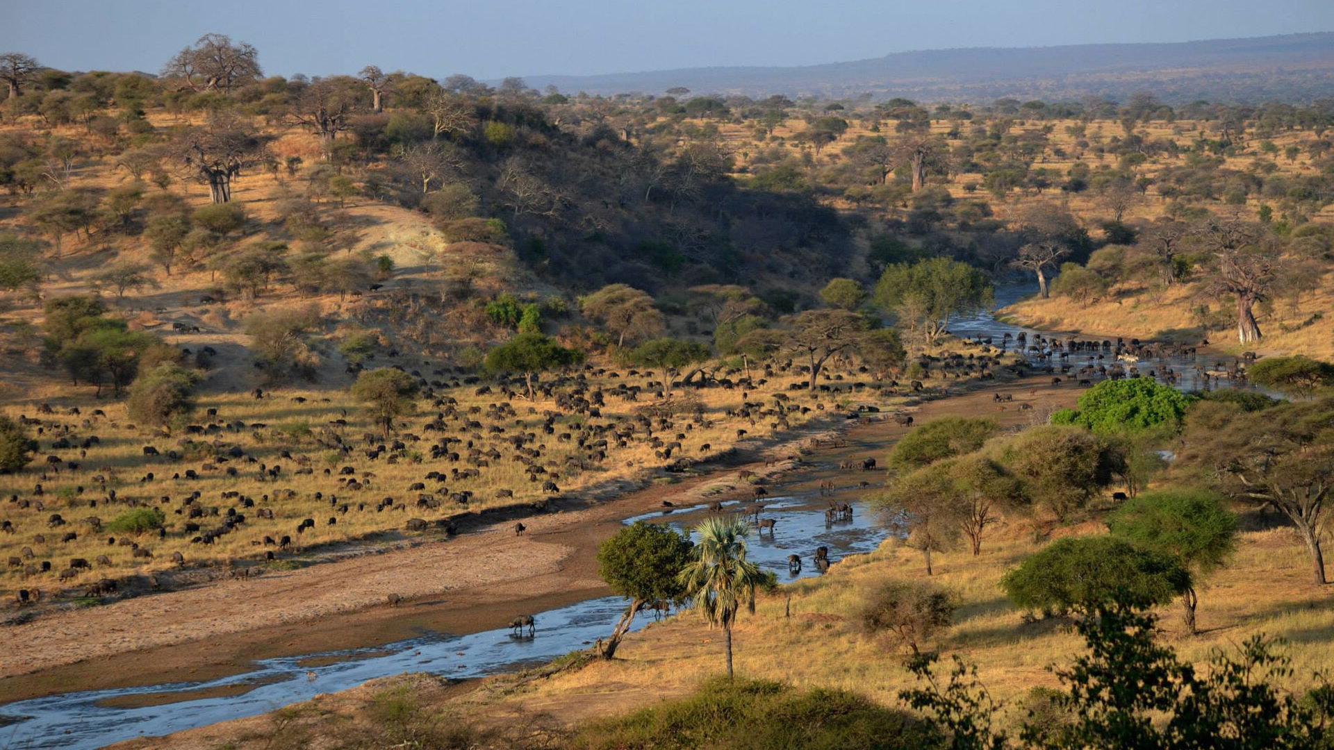 Tarangire National Park