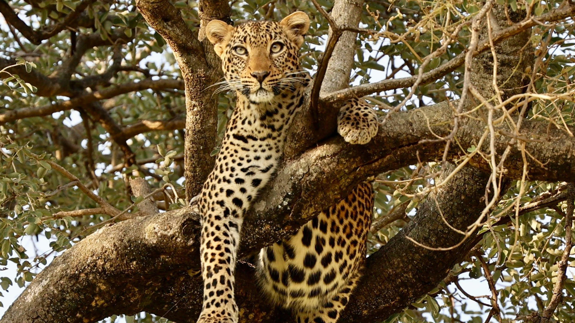 Tarangire National Park