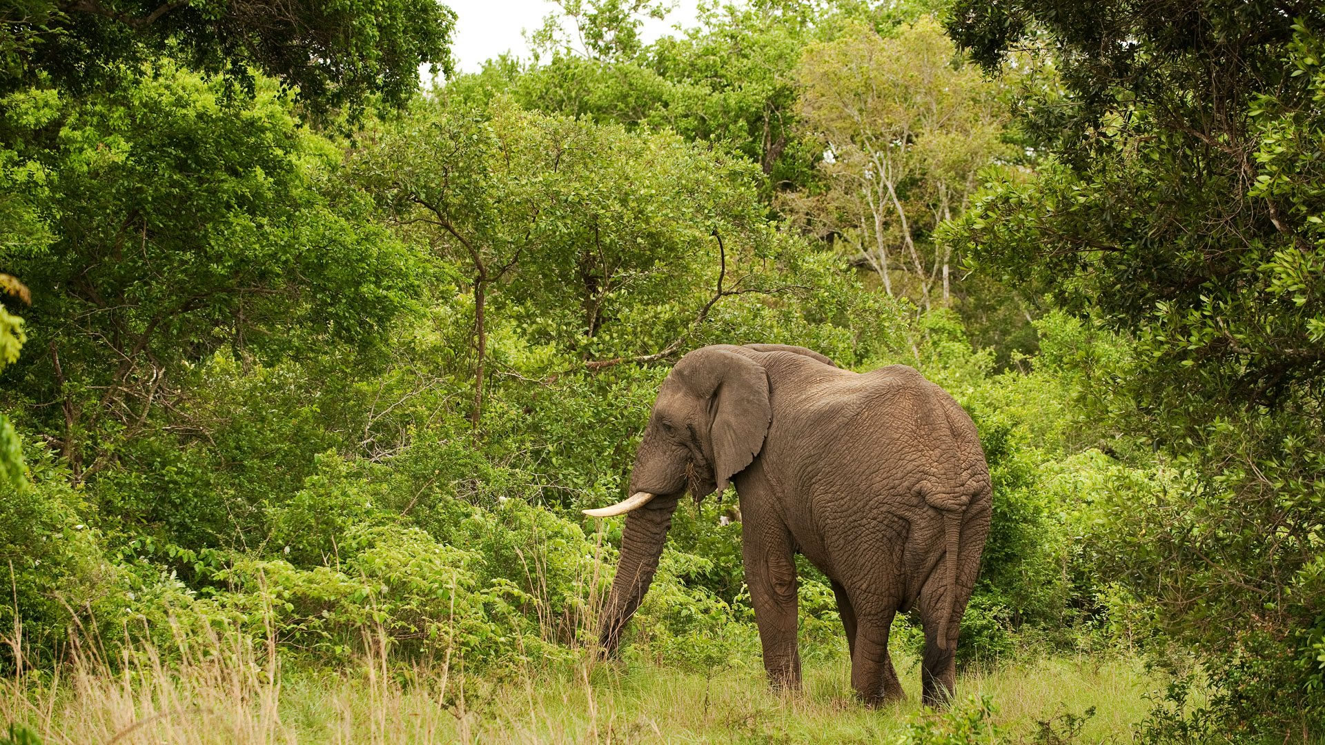 Tarangire National Park