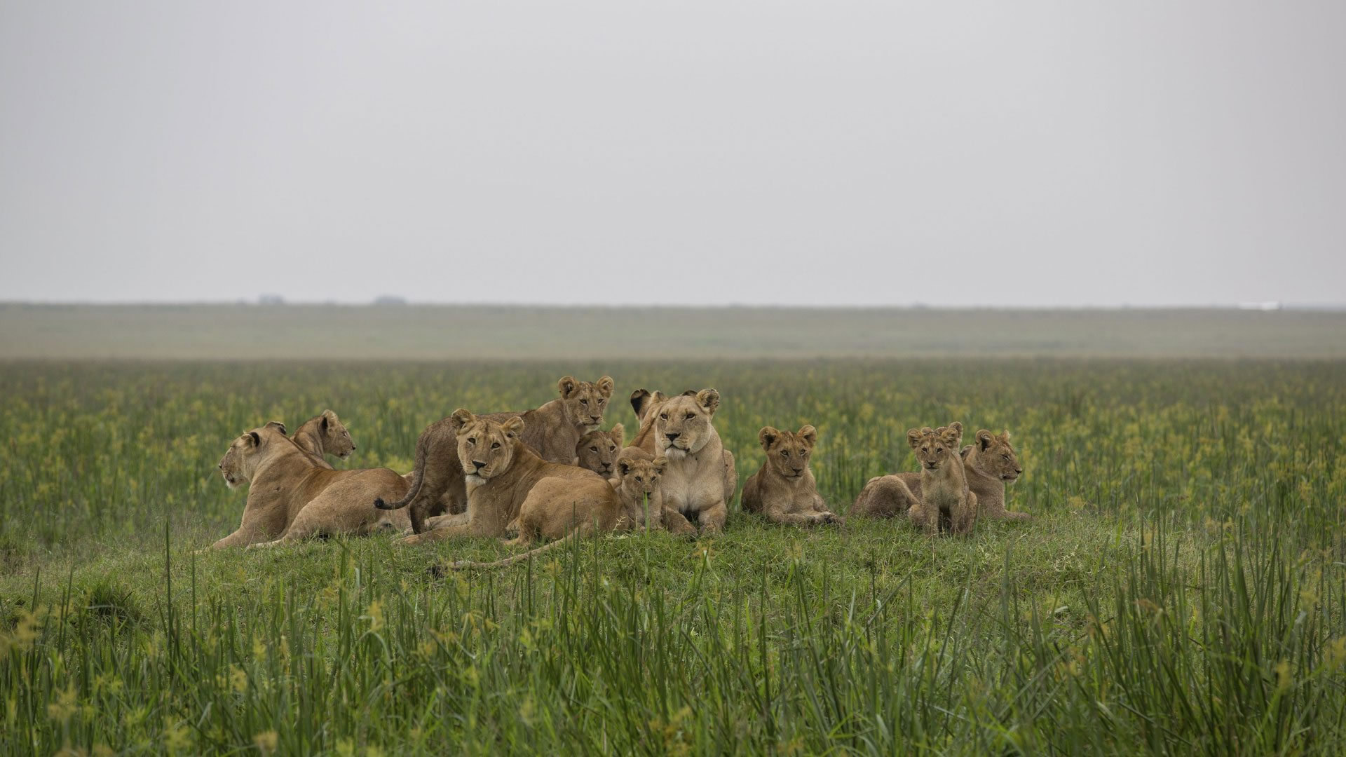Kidepo Valley National Park