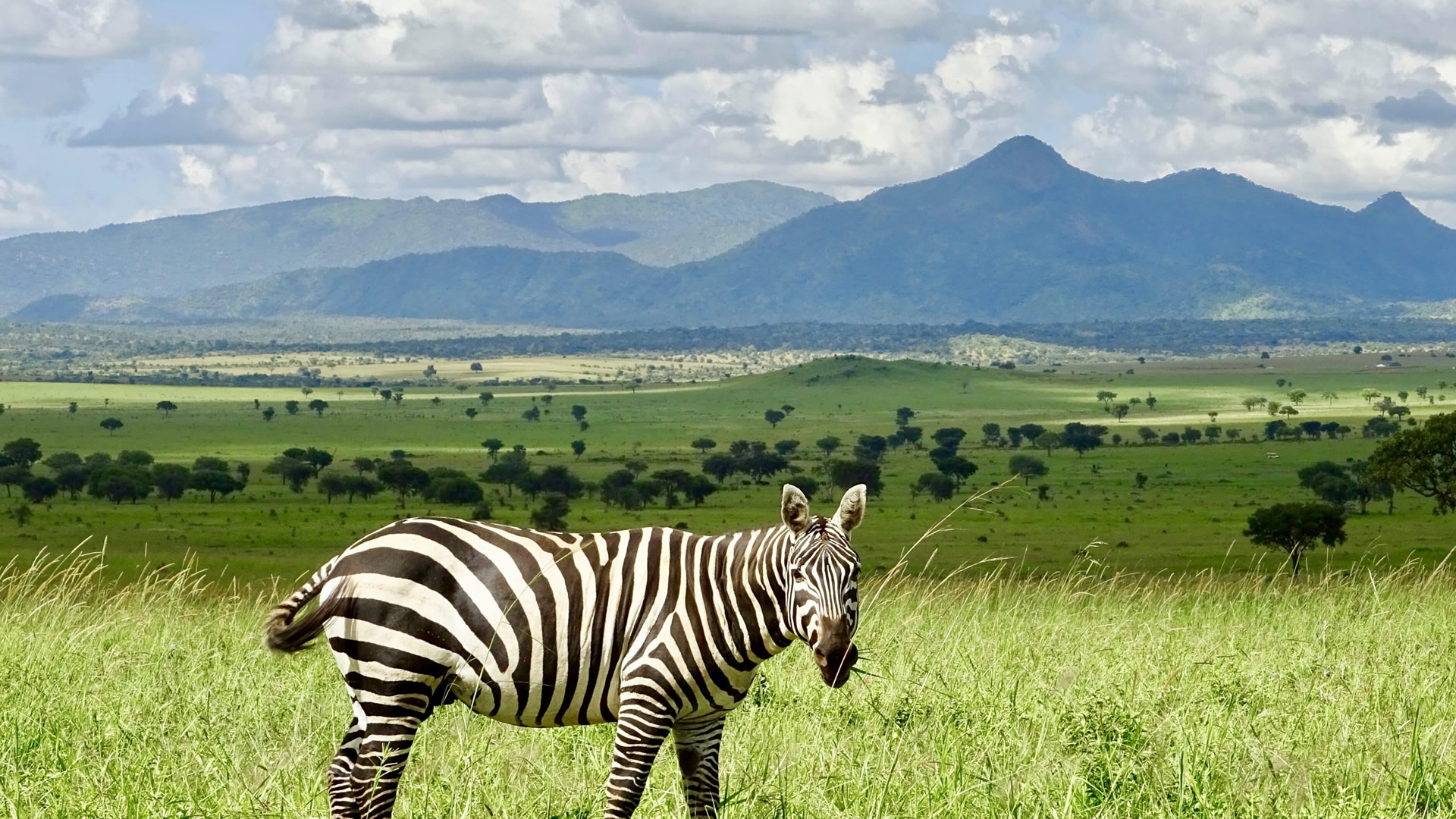 Kidepo Valley National Park