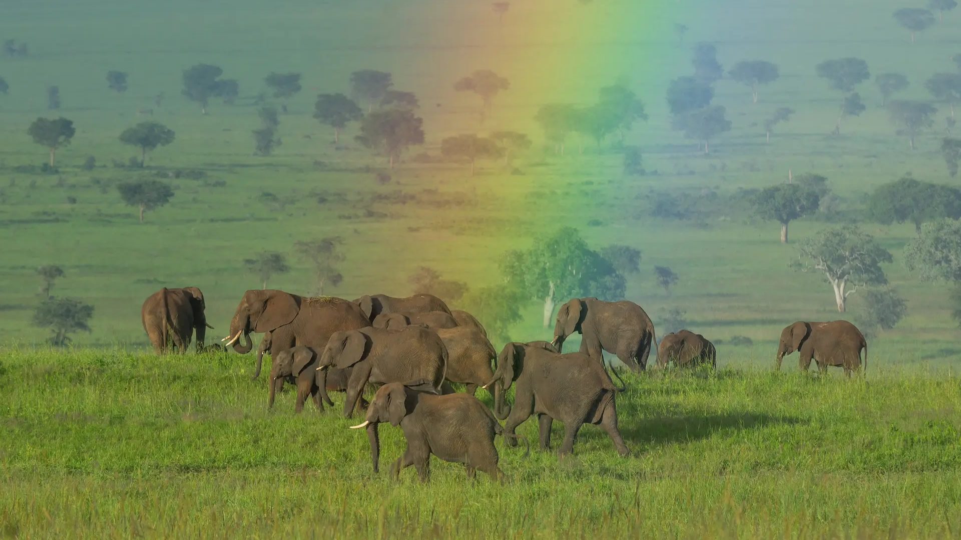 Kidepo Valley National Park
