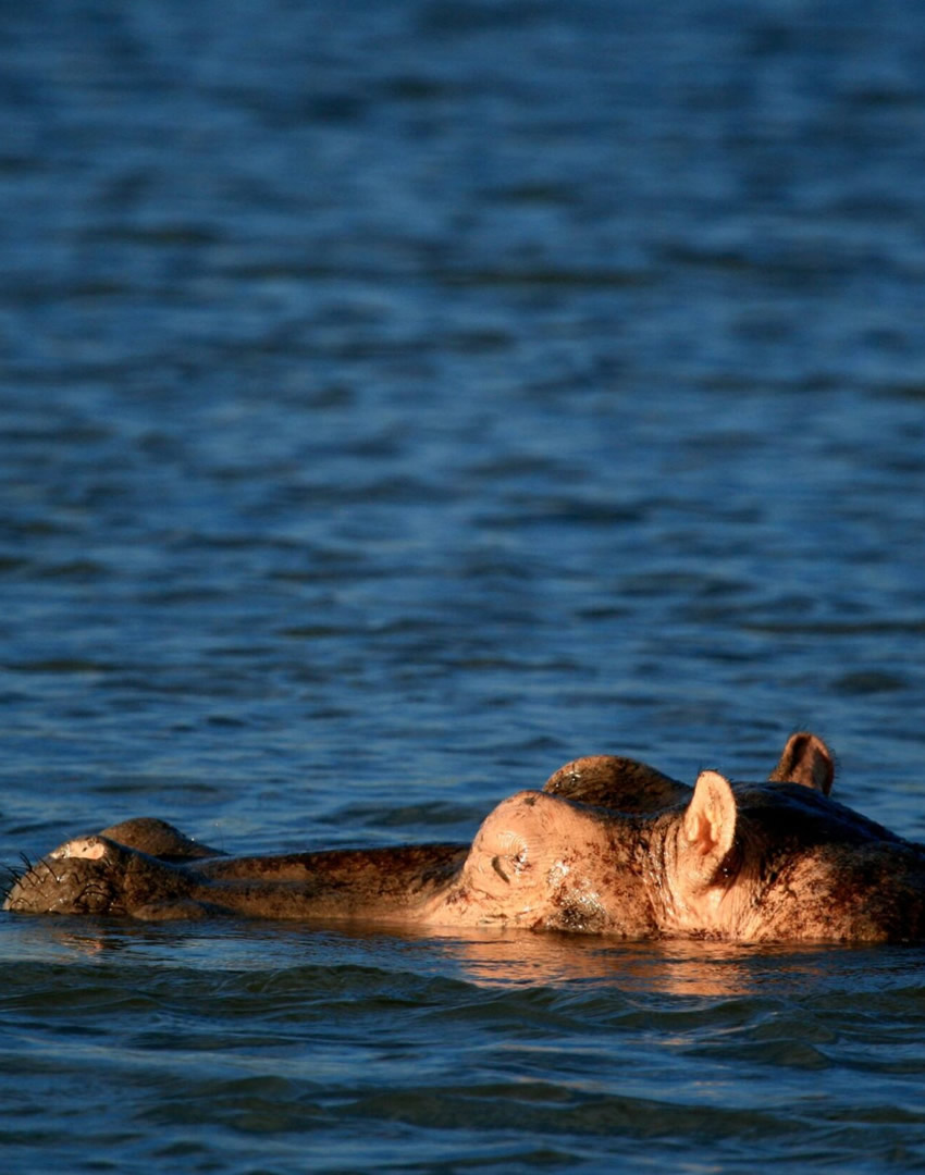 Murchison Falls National Park
