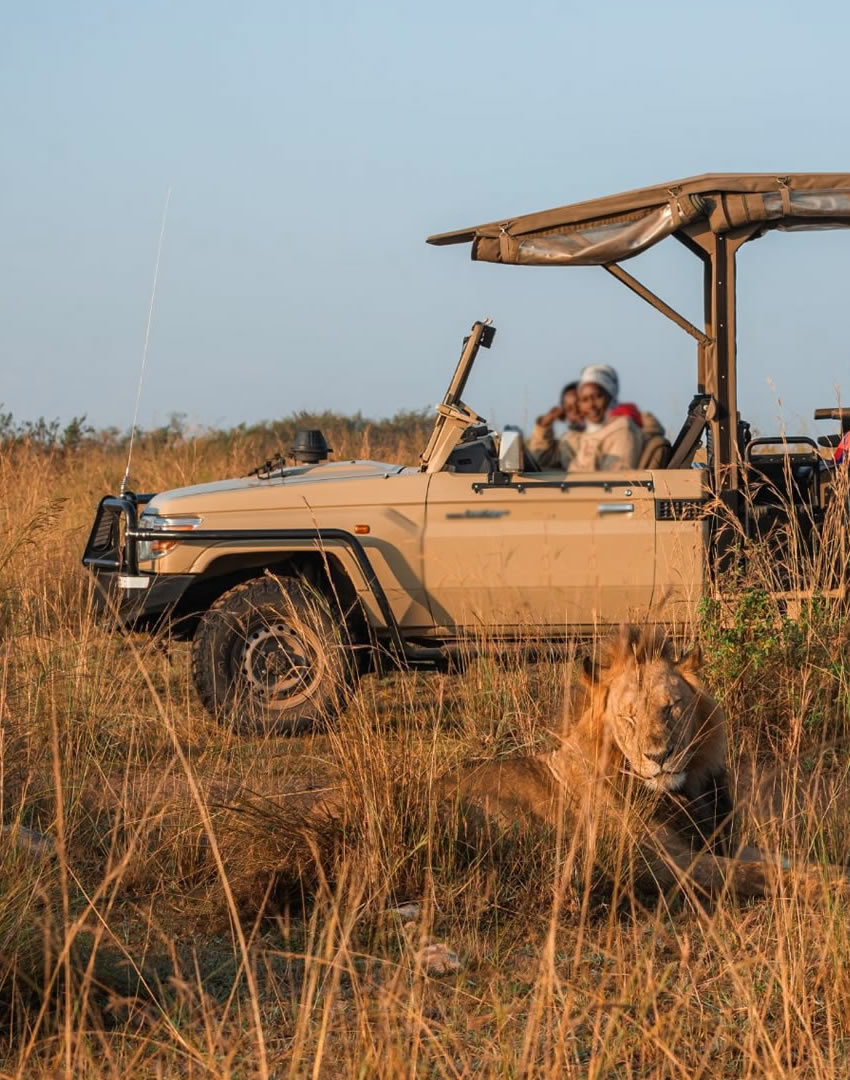 11 Days Kenya & Tanzania Safari