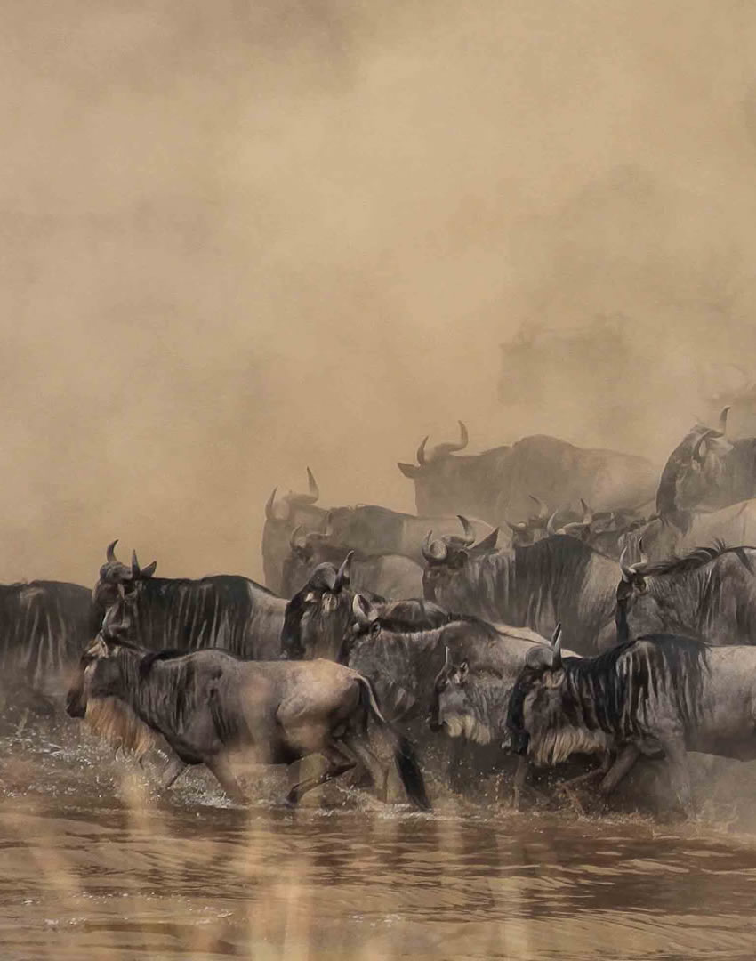 9 Days Classic Tanzania Safari